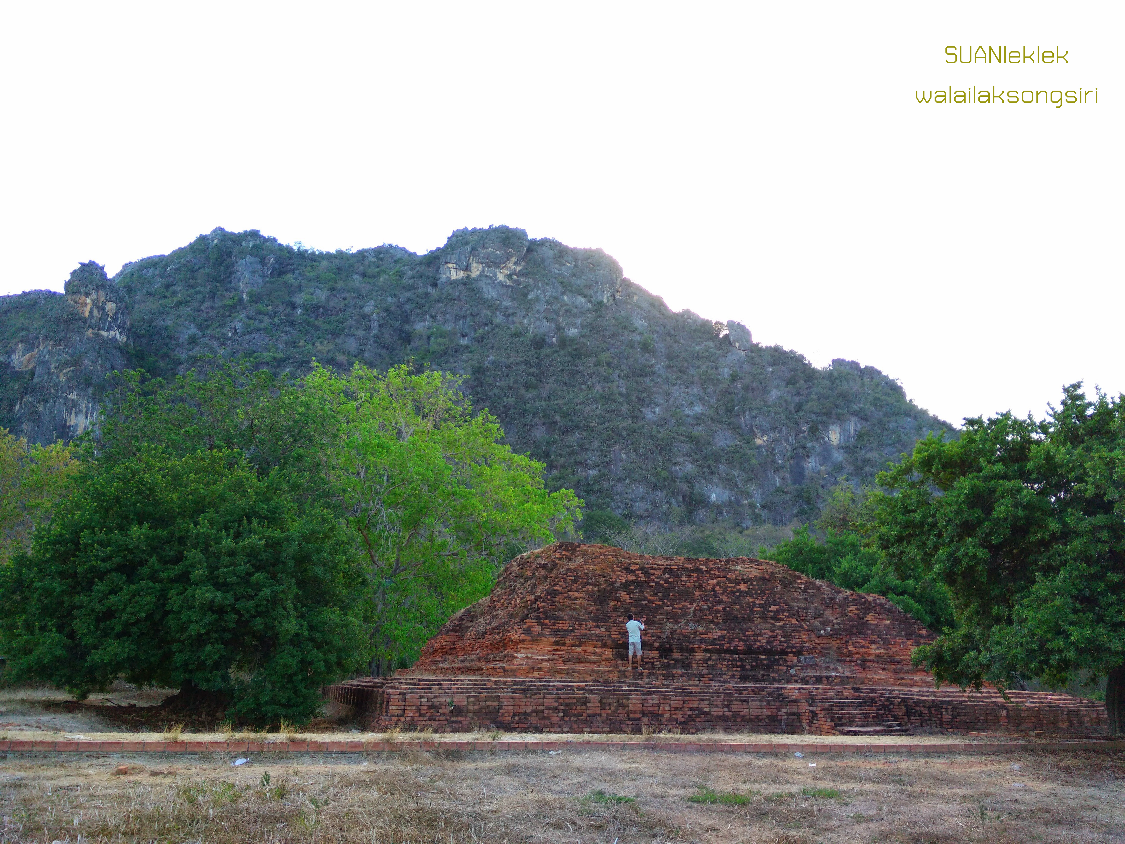 IMG20150421163928เขางู